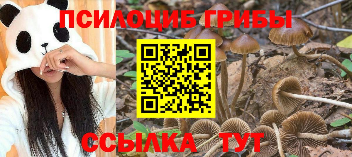 Новодвинск  Галлюциногенные грибы MAGIC MUSHROOMS  Вход с VPN 