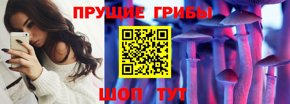 Псилоцибиновые грибы MAGIC MUSHROOMS Новодвинск