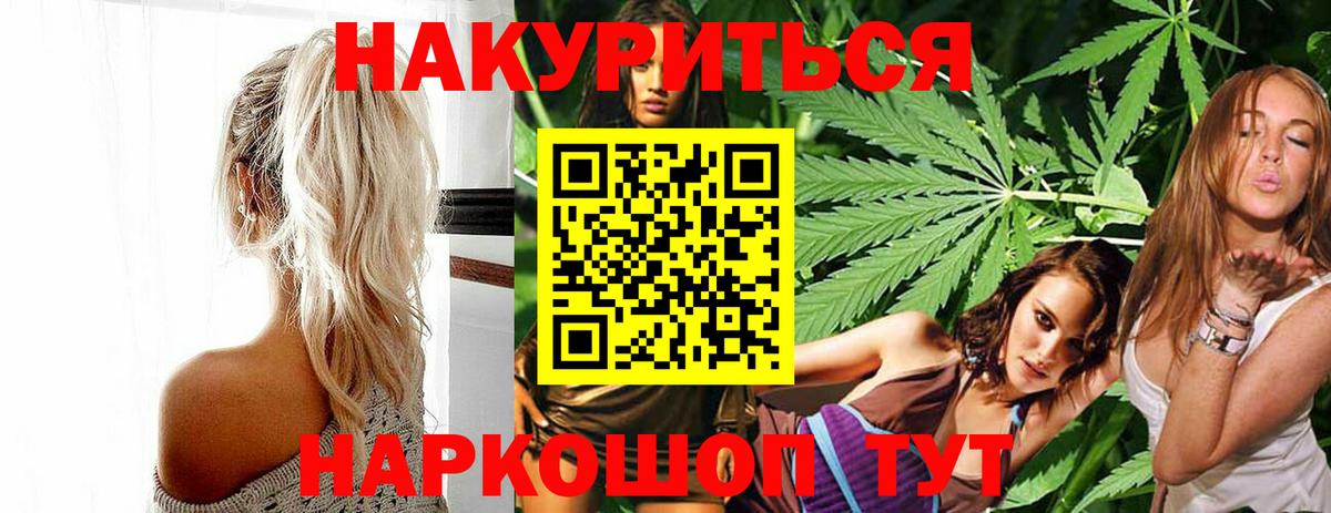 Бошки Шишки план Новодвинск